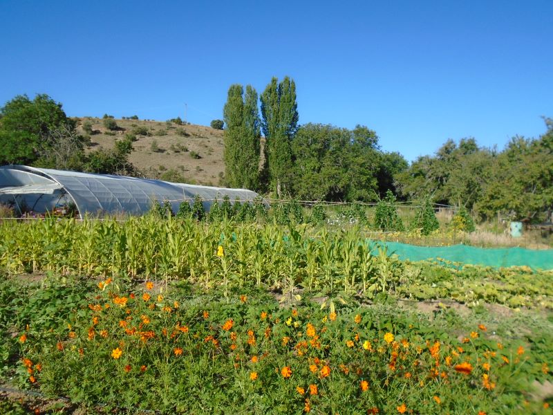 panorámica de agosto_13