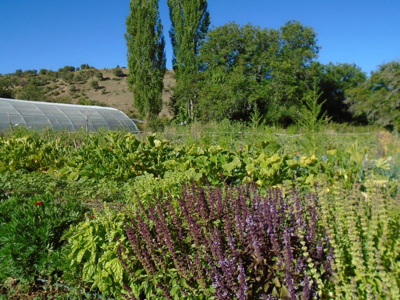 panorámica de agosto_2