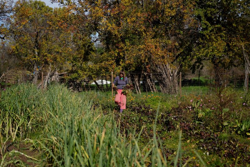 huerta de otoño_7