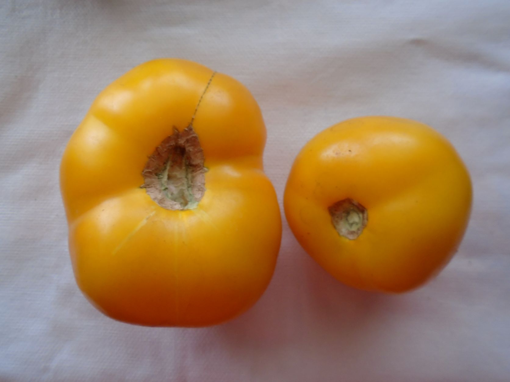 Tomate amarillo