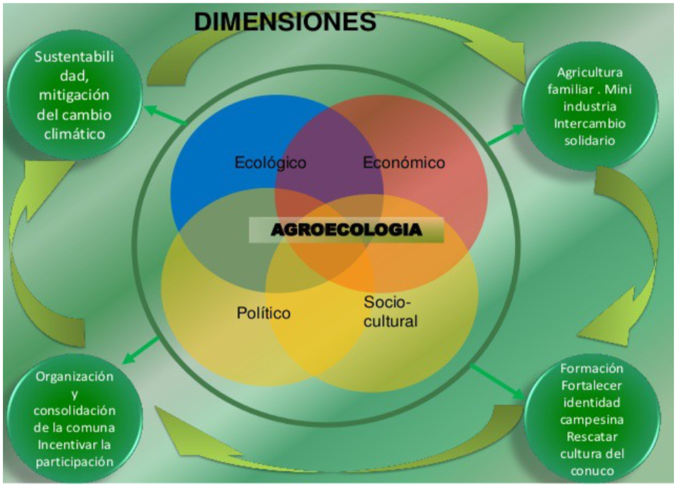 Dimensiones de una ASC