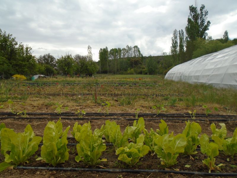 panorámica primaveral