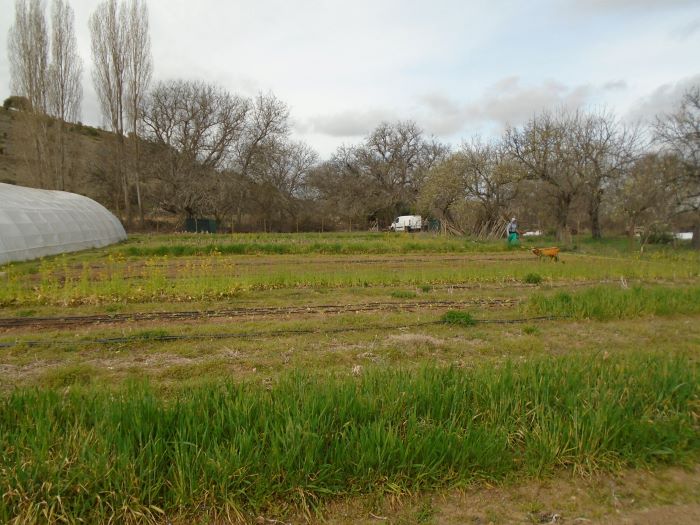 huerta de primavera