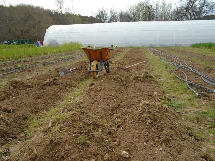 huerta de primavera 2