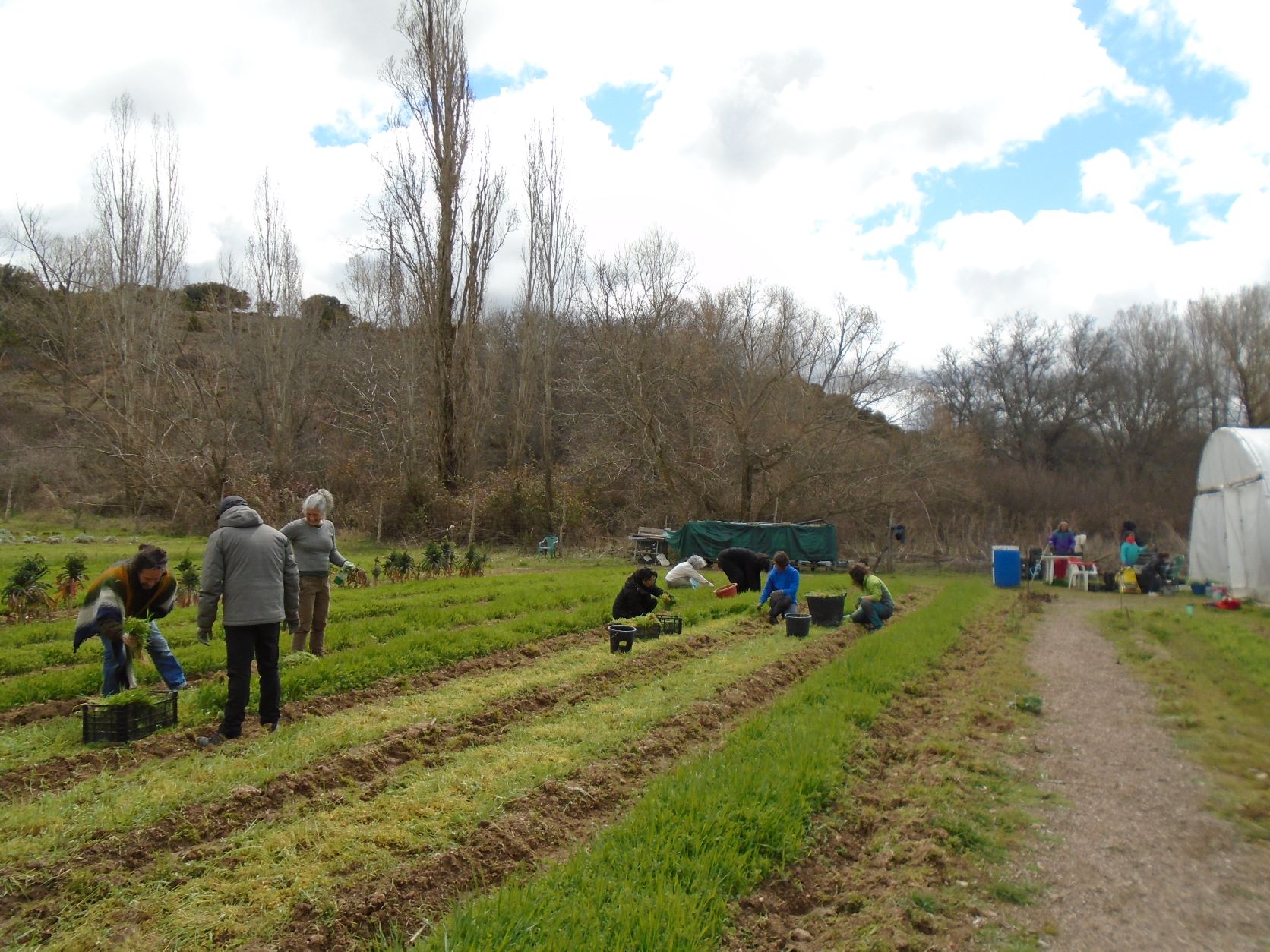 trabajando en huerta