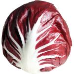 Achicoria roja o radicchio
