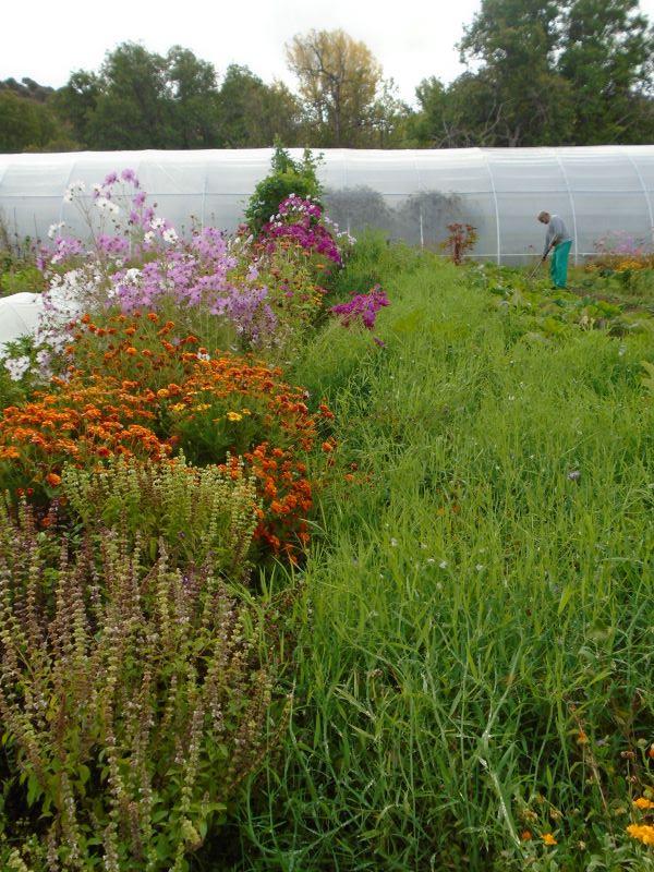 colores de la huerta veroño_1