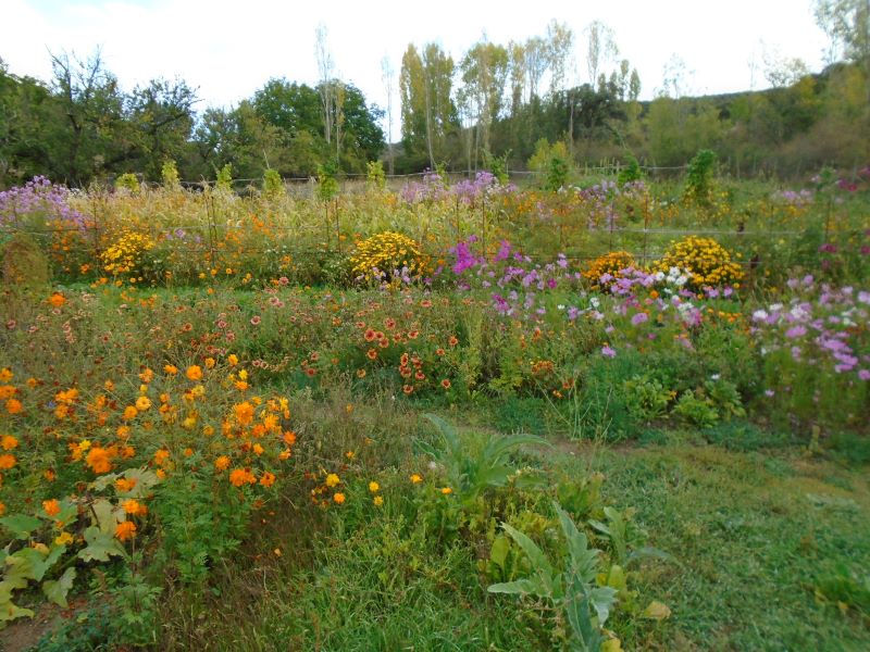 colores de la huerta veroño_12