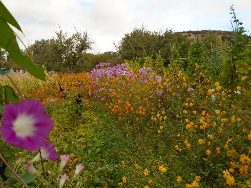 colores de la huerta veroño_2