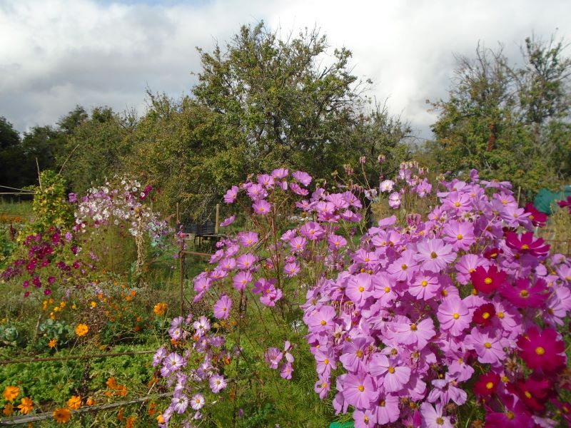 colores de la huerta veroño_3