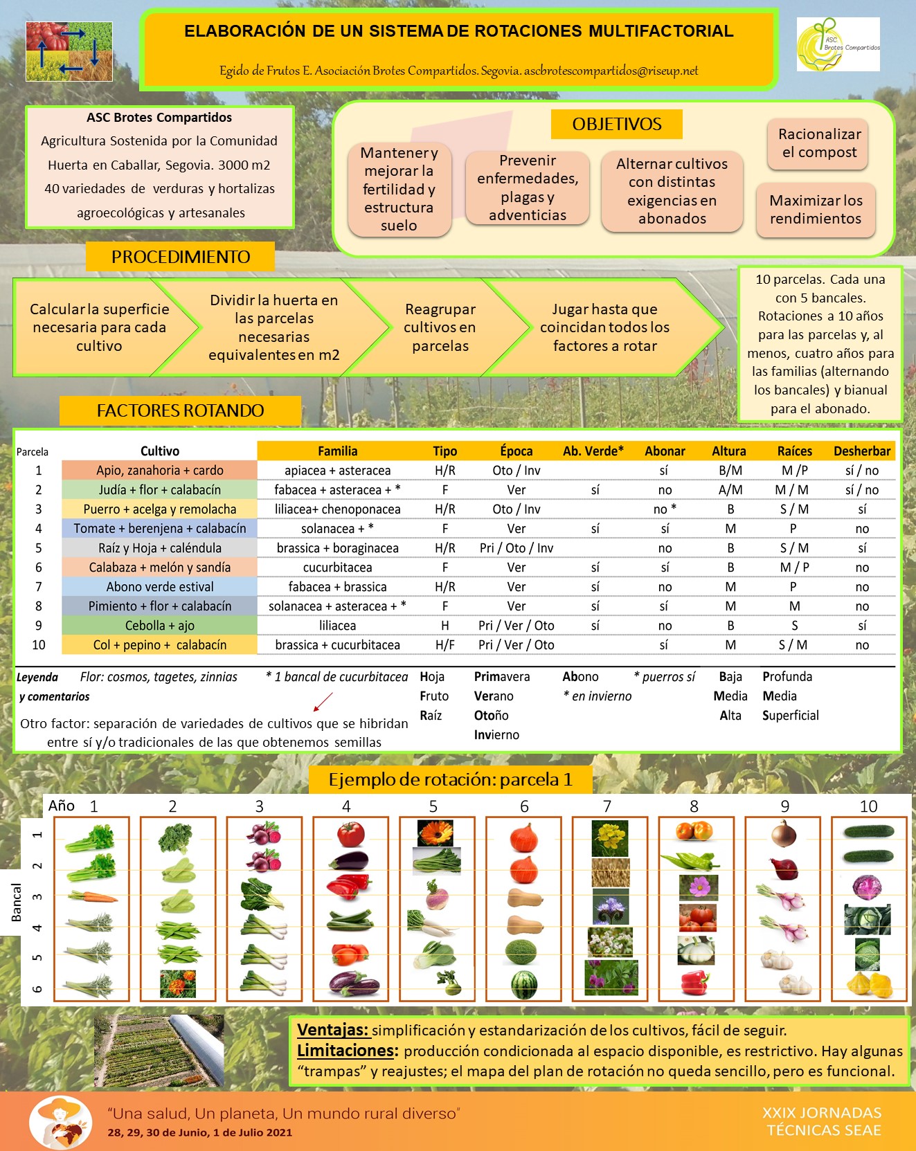 Posters para la XIX Jornadas Técnicas de la SEAE